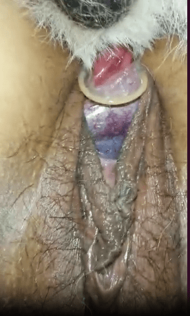 紧致的女人感觉整个狗鸡巴都在毛茸茸的阴户里 海报