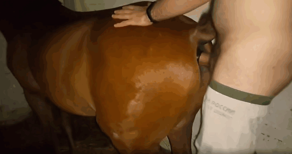 男人疯狂地操弄马的紧致阴部和屁股 海报