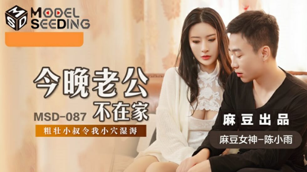 麻豆-今晚老公不在家-陈小雨 海报