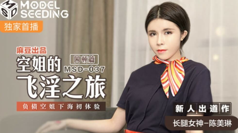 【负债空姐被迫营业】高海拔情欲服务！陈美琳绝顶升空初体验 海报