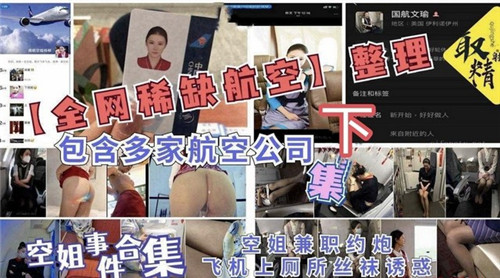 全网稀缺航空整理包含多家航空公司下集 海报
