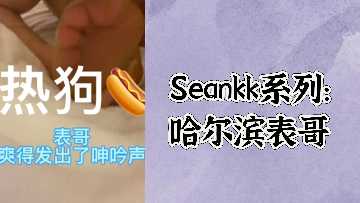 Seankk系列：哈尔滨表哥的激情秘密约会 海报