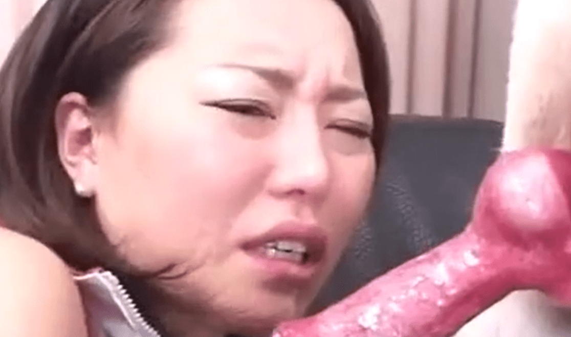 亚洲啦啦队员被一只脏狗控制 海报