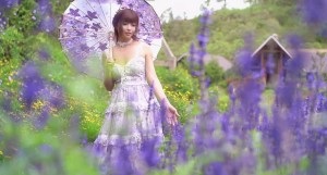 JasmineJ紫色花海的爱。 海报