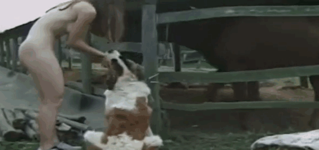 业余场景中的性感女性在性感XXX中扮演工作犬的阴茎 海报