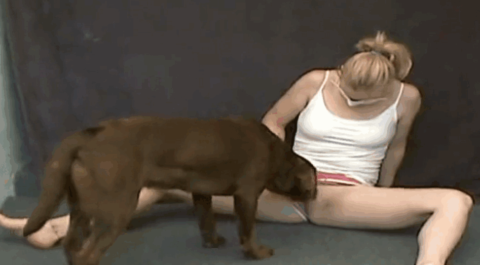 女同性恋兽交视频，主角是一只棕色狗狗 海报