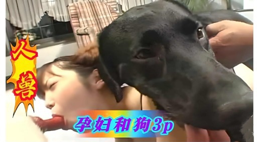 火售孕妇和狗3p 海报