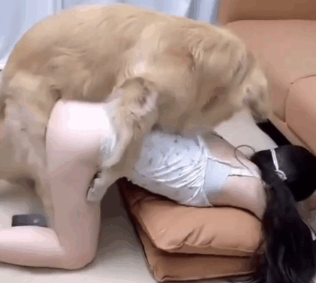 美女指导狗狗后人她的小穴道 海报