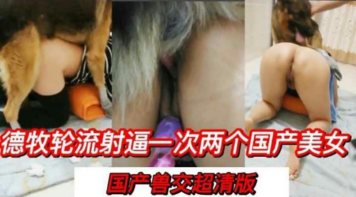 德牧轮流射逼一次两个国产美女国产兽交超清版 海报