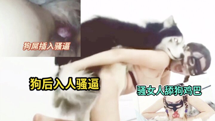 朝鲜女人也疯狂让自己家的狗操自己的骚逼操完叫狗把逼舔干净最后舔狗的鸡巴 海报