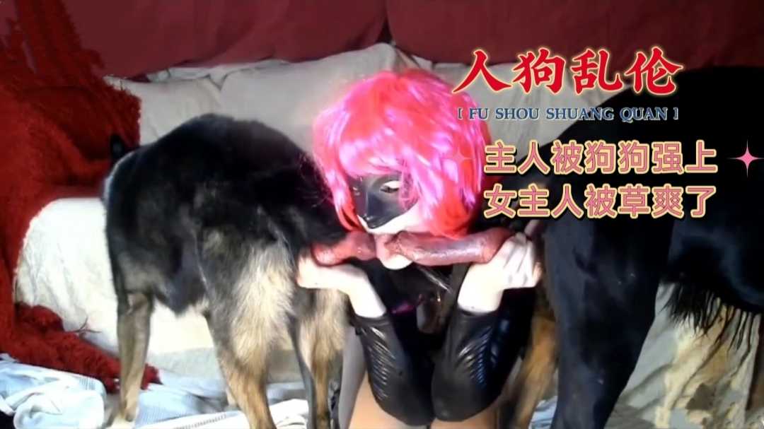 【人狗乱伦】主任被狗狗强上女主人被操爽了 海报