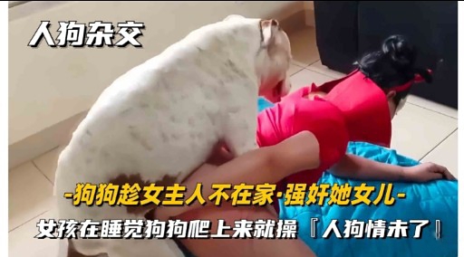 人狗杂交狗狗趁女主人不在家强奸她女儿女孩在睡觉狗狗爬上来就操人狗情未了 海报