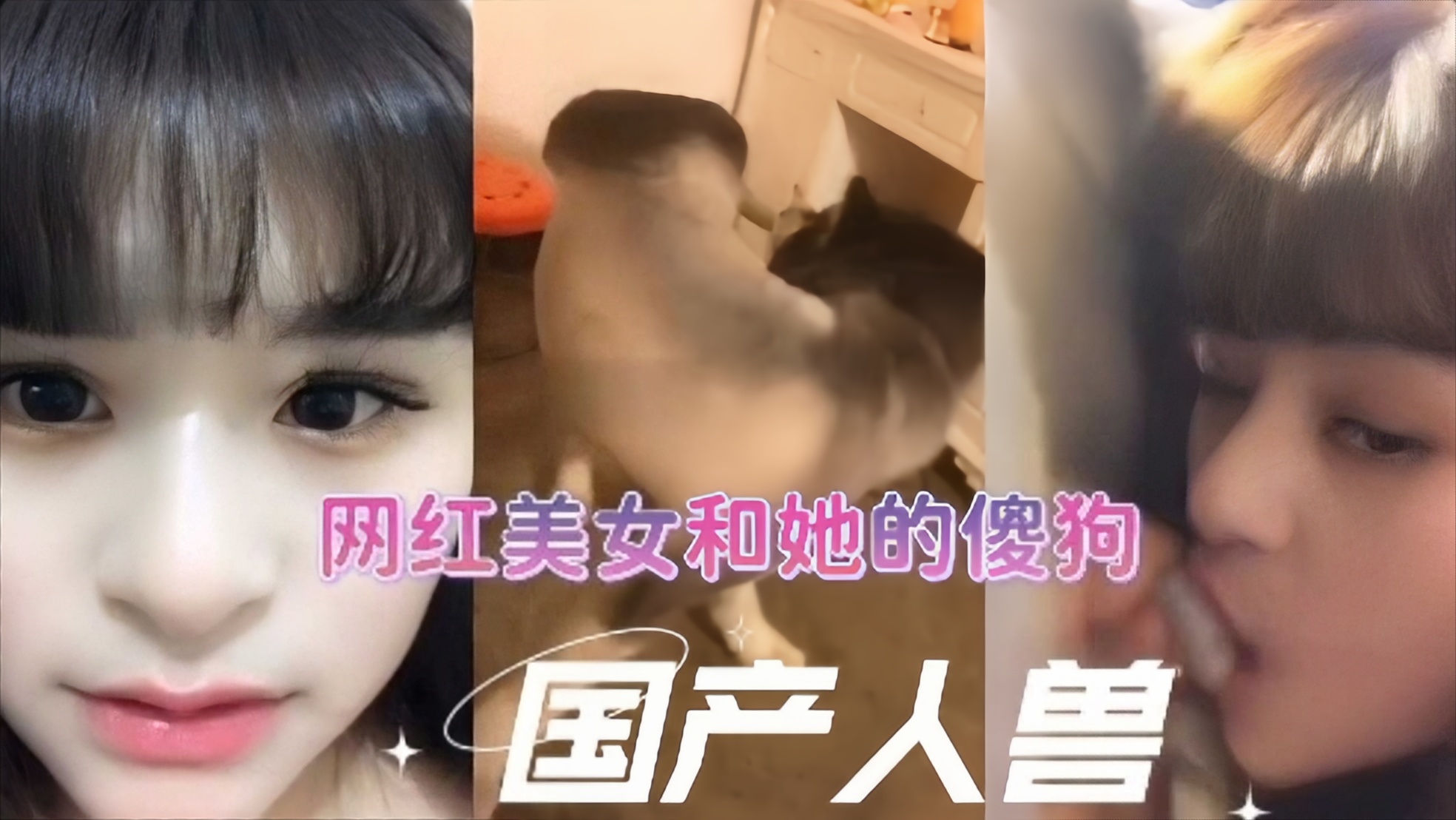 【人狗乱伦直播】极品美乳女网红现场直播 海报
