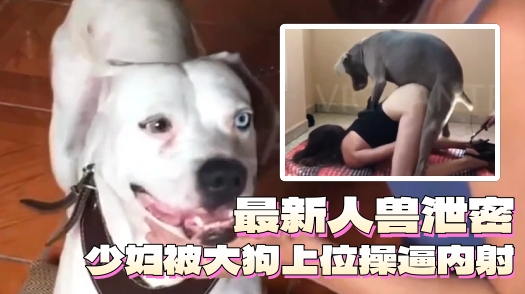 少妇被狗狗上位操逼内射 海报