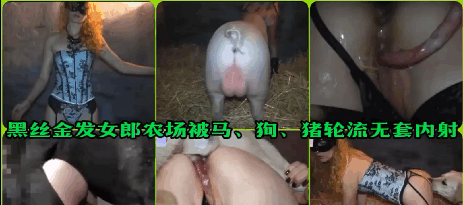 【稀缺人兽资源小合集】公马公猪公狗轮操 海报