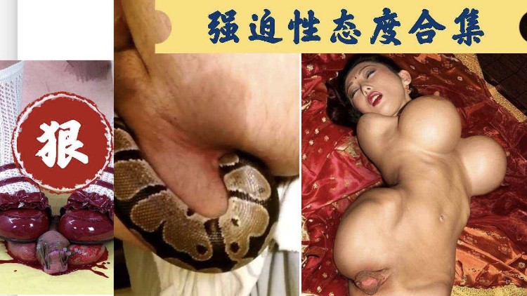 泥鳅钻洞寻白粥 海报