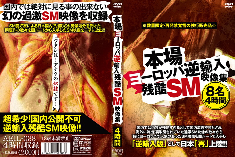 本場ヨーロッパ逆輸入 残酷SM映像集 海报