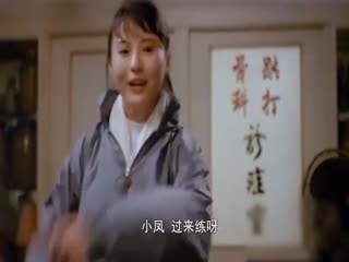 《新龙争虎斗》 海报