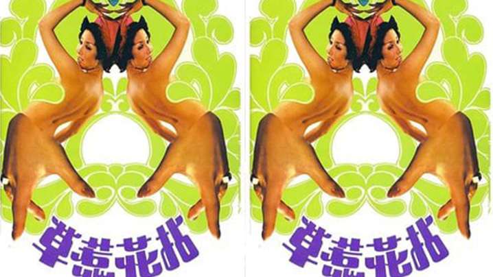 【香港】拈花惹草(1976) 海报