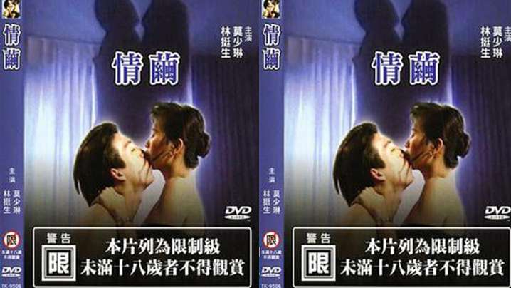 【台湾】情茧(1997) 海报