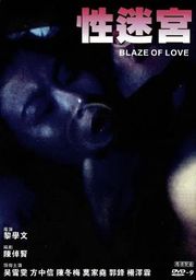 性迷宫 Blaze of love(中文字幕) 海报