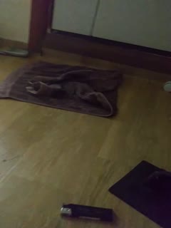 ，和骚逼女友的一天7.. 海报
