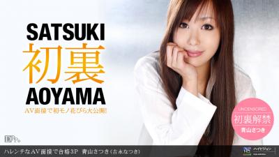 ハレンチなAV面接で合格ト3P. 海报