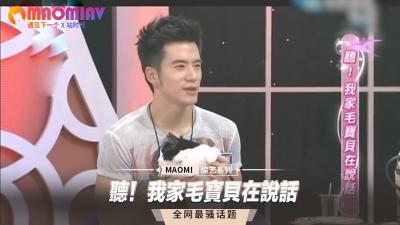 听！我家毛宝贝在说话 海报